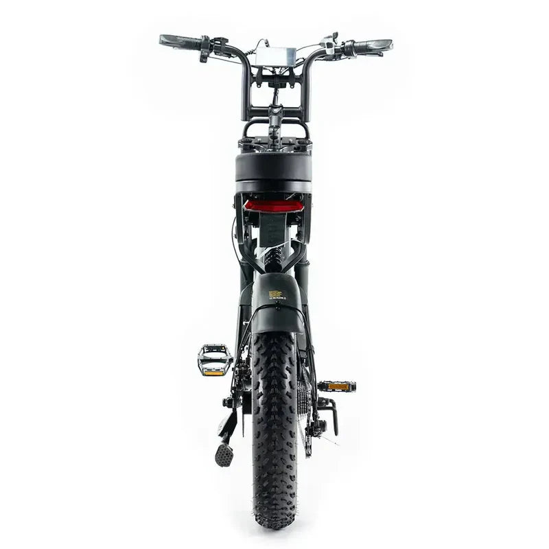QM Wheels V20 Pro Fatbike – Zwart (inclusief achterzitje, voetsteuntjes, voorrek & alarm)